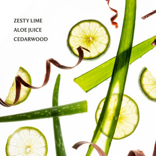 Touchland Hand Sanitizer Aloe You