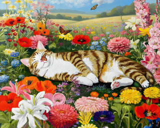 Cat Nap 500 Piece Puzzle