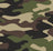 Classic Camo
