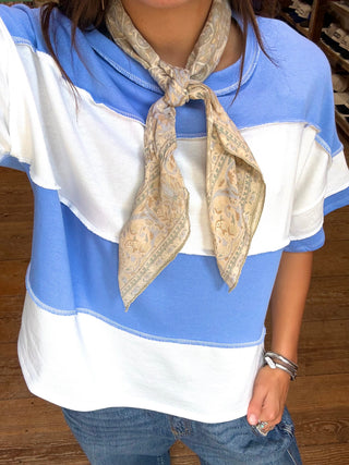Miranda Stripe Top Periwinkle