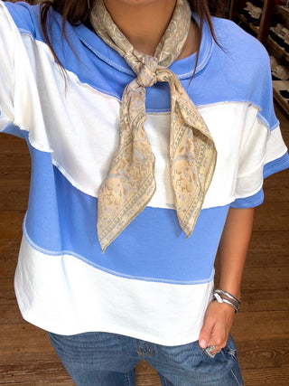 Miranda Stripe Top Periwinkle