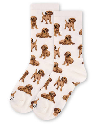 Memoi Socks - Golden Retriever Crew Socks